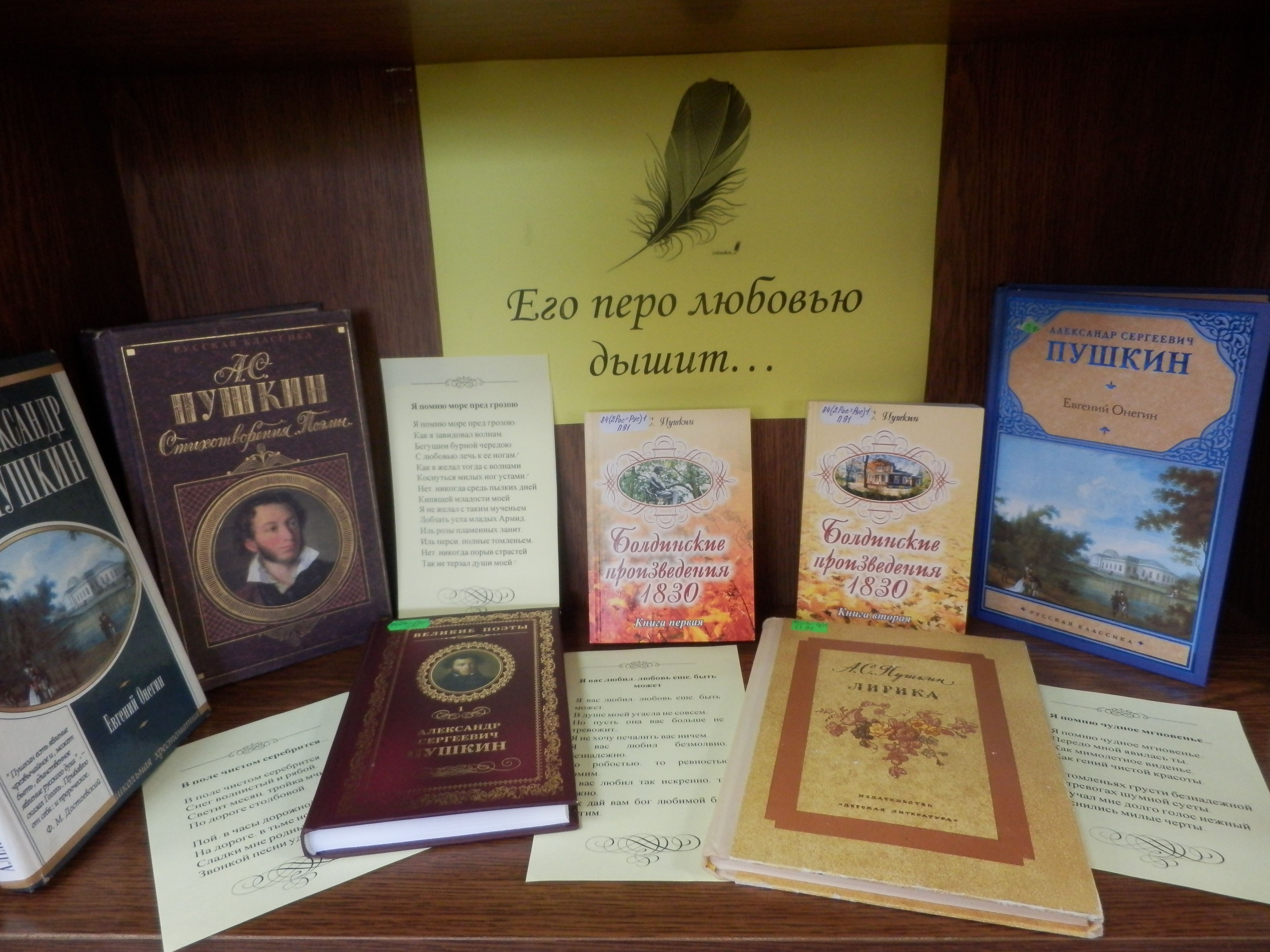 Пушкин книги